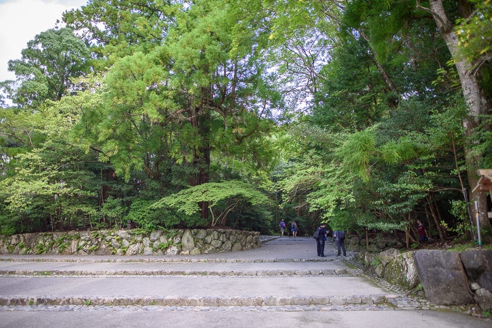 日本三重伊勢神宮 參道步行節奏與石階、古樹防護設施