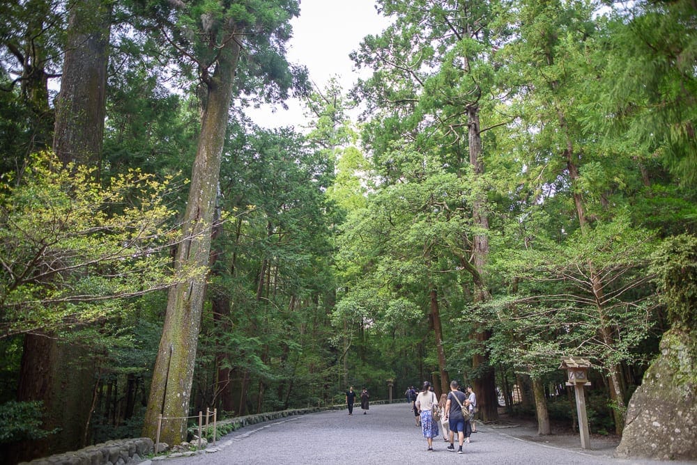 日本三重伊勢神宮｜碎石路，參天大樹，行人，木造路燈，森林，灰白色天空。多位遊客漫步於寬闊的林間步道，兩旁矗立著粗壯的老
