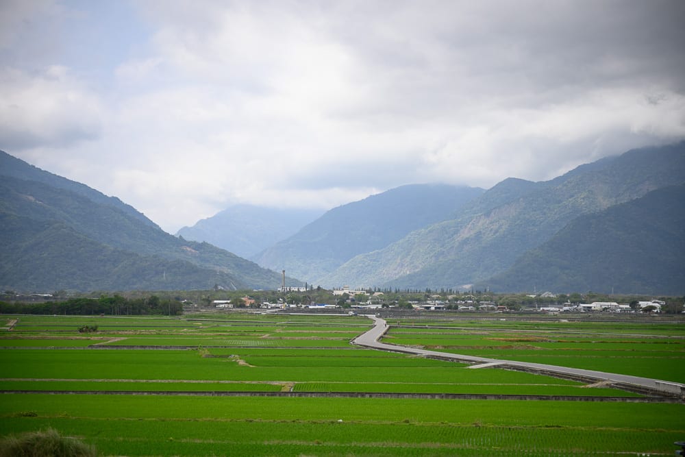 台東池上伯朗大道|沒有電線桿的稻田大道、金城武樹與縱谷山景散步攻略 6 台東池上伯朗大道 縱谷稻田與山景