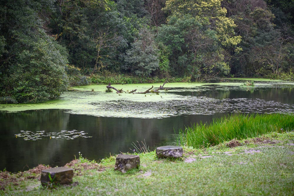 宜蘭福山植物園