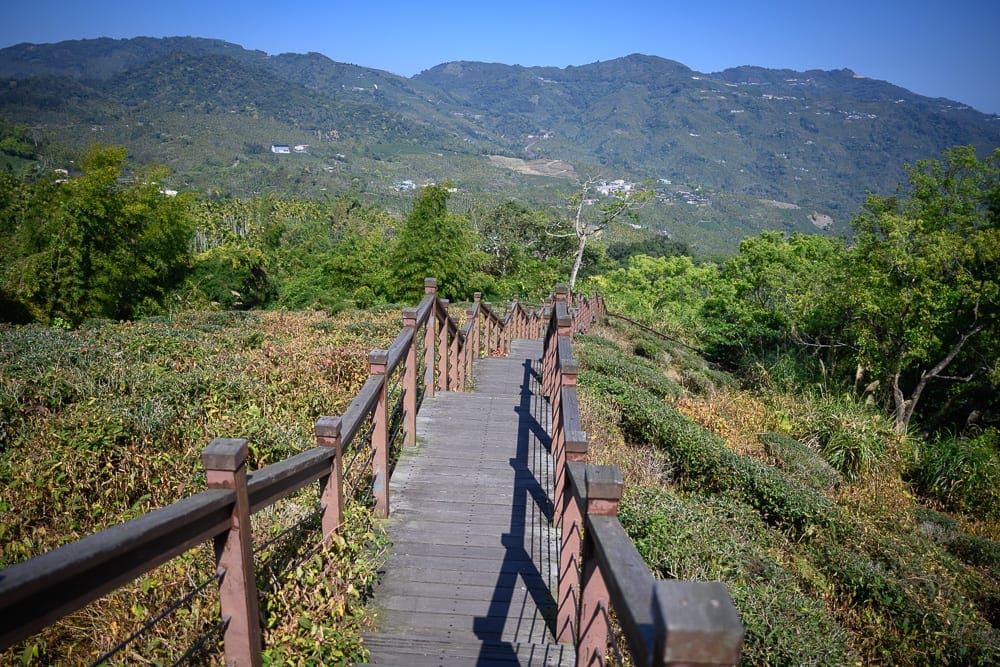 【嘉義梅山景點一日遊】必訪景點美食:1314觀景台、三角鐵茶屋、太平老街 6 嘉義太興岩步道