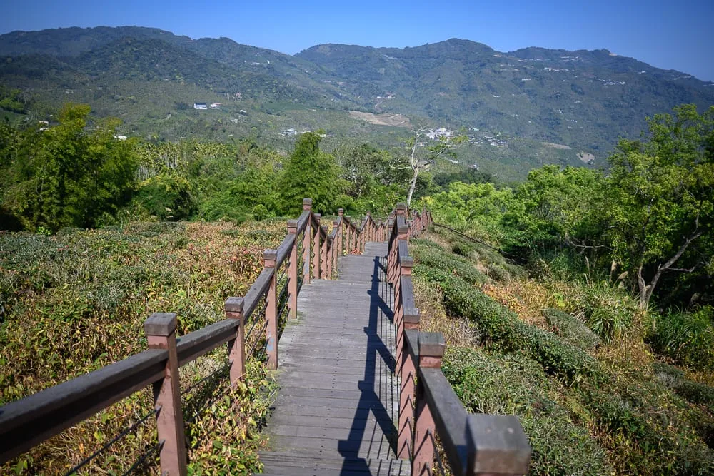 嘉義太興岩步道