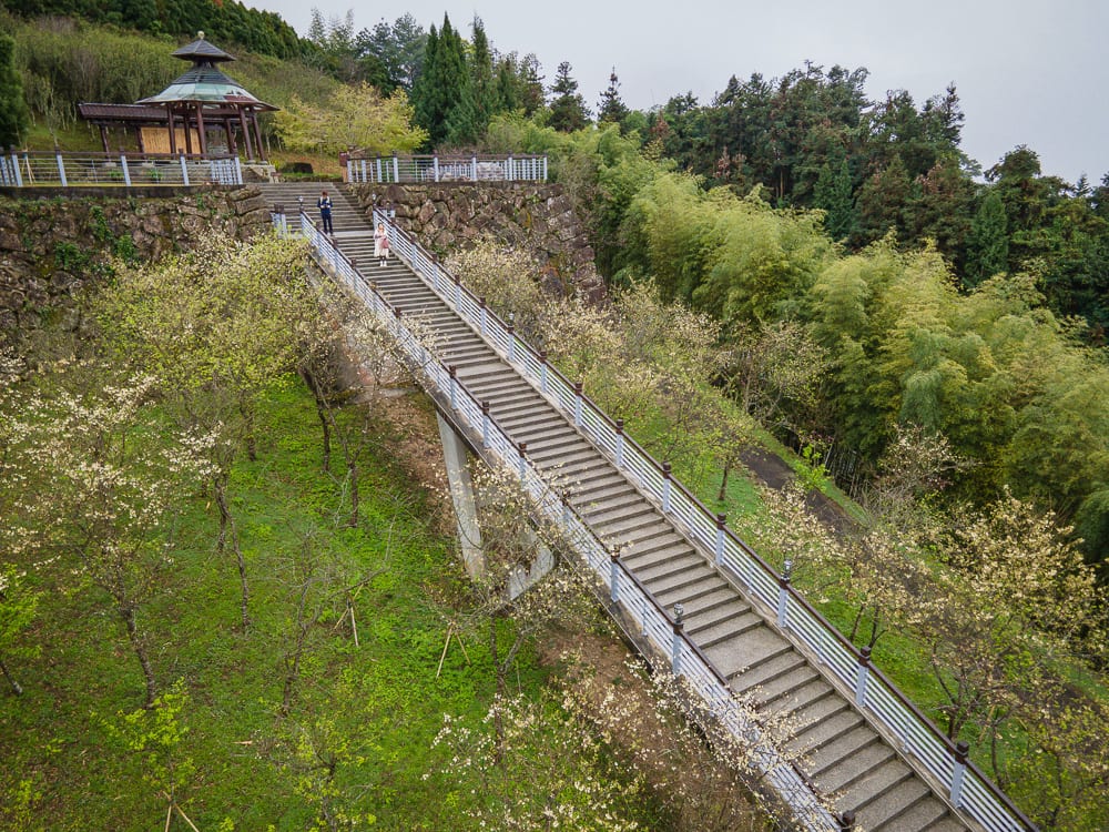 嘉義寒溪呢 嘉義前往太和村的路線規劃