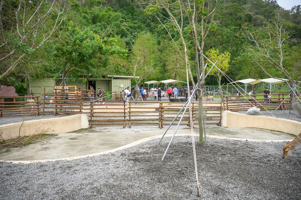 宜蘭斑比山丘｜木柵欄、鹿、碎石地、矮牆、樹木、人群、山坡。山腳下的戶外動物園區內設有木製圍欄與水泥矮牆，地面鋪滿碎石，多名遊客散落於遠處白色遮陽棚下方，右下角露出一隻梅花鹿的頭部。