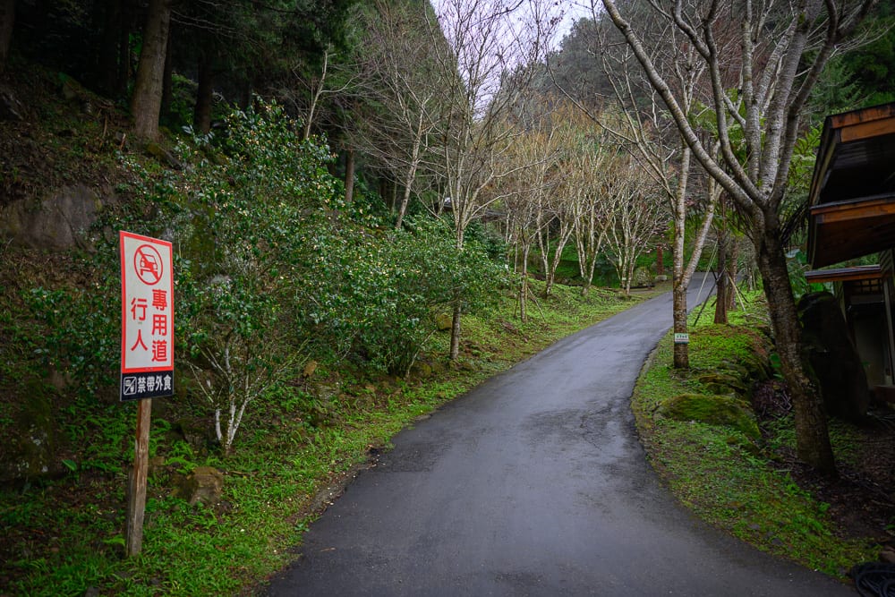 嘉義寒溪呢 白欄長階梯、木造涼亭與竹林景觀