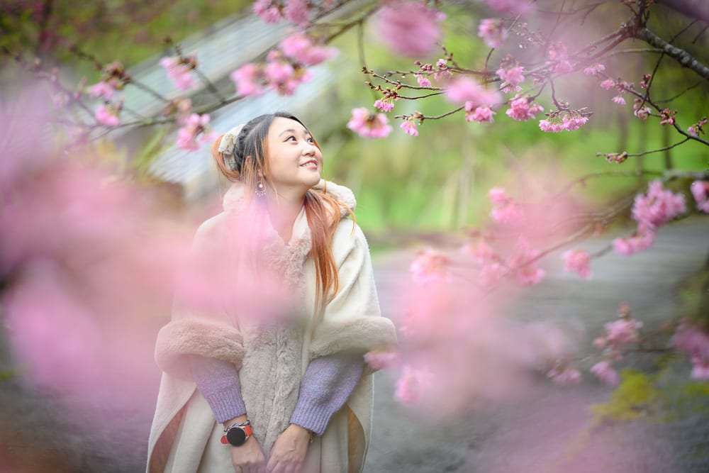 嘉義寒溪呢｜女子、櫻花、披風、小徑。女子身穿米白色毛呢披風與紫色針織袖，站在盛開粉紅櫻花樹下，抬頭望向枝頭綻放的