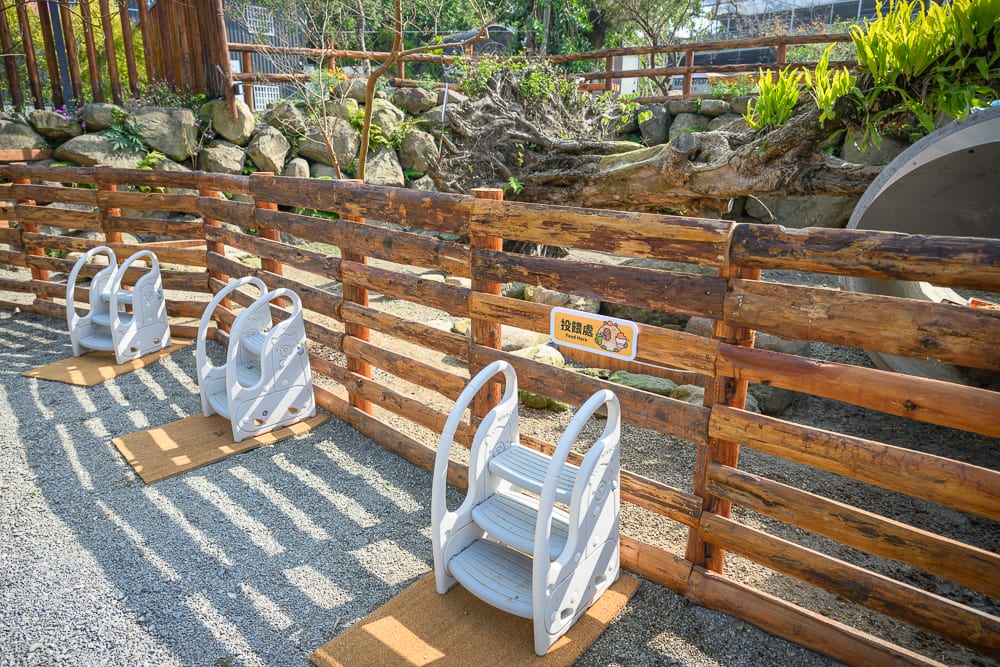 南投鹿芝谷生態景觀園區完整指南|餵羊、水豚與親子玩法 3 南投鹿芝谷|木柵欄、階梯、投餵處標示、碎石地、土坡、蕨類植物。木柵欄外側並排擺放三個白色塑膠小階梯,每座階梯下方墊有棕色巧拼墊,後方土坡上錯落石塊與枯木。