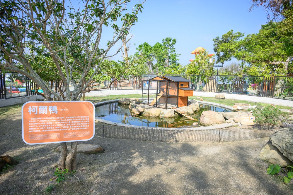 南投鹿芝谷生態景觀園區完整指南|餵羊、水豚與親子玩法 11 南投鹿芝谷|戶外園區、池塘、木製鳥舍、解說牌、樹木、泥土地、鐵網圍欄,晴朗天空下,池中有小型木屋與岩石造景。