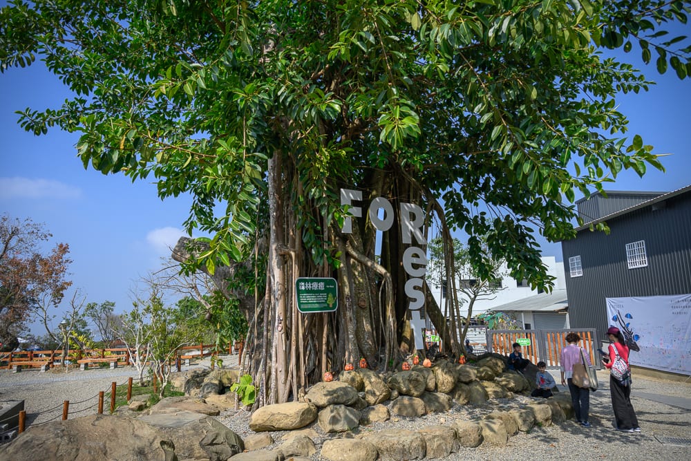 南投鹿芝谷生態景觀園區完整指南|餵羊、水豚與親子玩法 2 南投鹿芝谷|大榕樹、氣根、巨石、英文招牌、建築物、人群,藍天底下茂密枝葉覆蓋地面,樹幹纏繞氣根並立有白色立體英文字母,樹下圍繞大小石塊,幾位遊客站在右側水泥地。