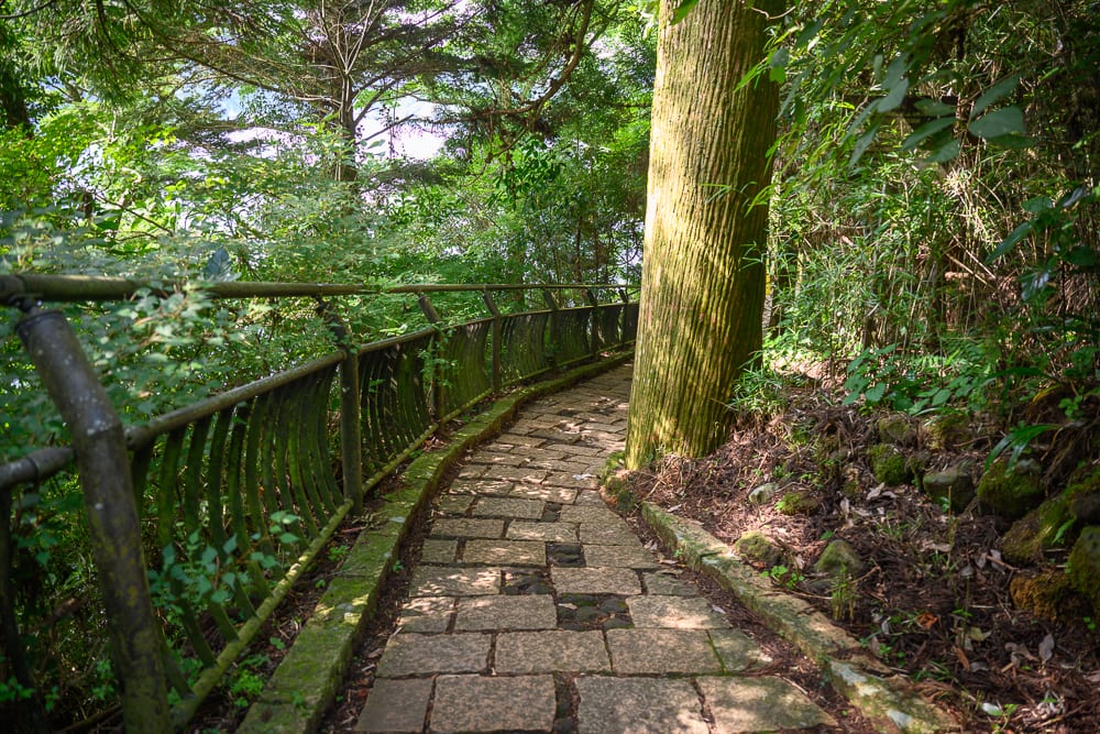 日本箱根-箱根神社｜步道、樹木、鐵欄杆、山林、石塊。曲折的石板步道穿梭於茂密樹林間，左側設有深色金屬欄杆，右側緊鄰高大樹幹與泥土邊坡，枝葉在上方交織。