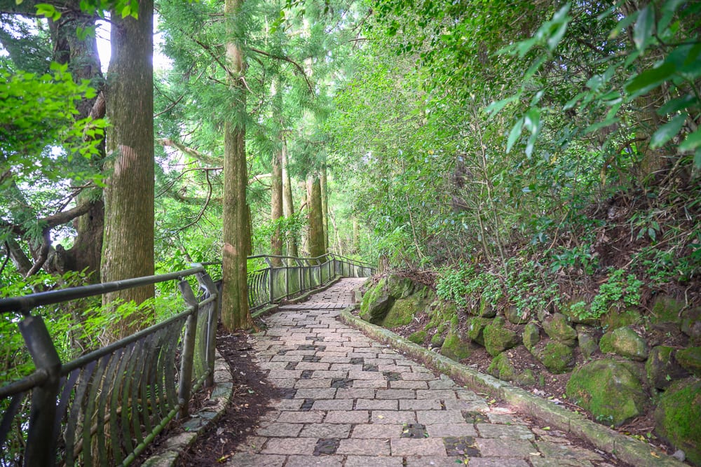 日本箱根-箱根神社｜步道、石板路、樹林、鐵欄杆、斜坡，山林間的石砌步道微微彎曲延伸，左側設有金屬防護欄，右側為覆滿青苔的土坡，兩旁夾立高大樹木與繁茂綠葉。