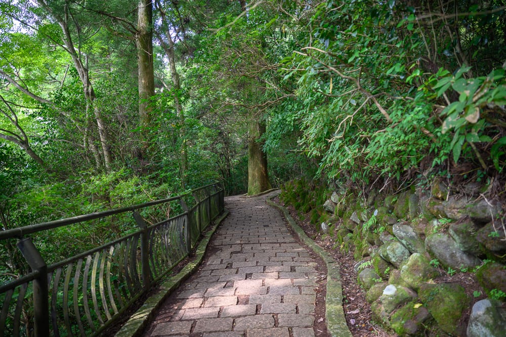 日本箱根-箱根神社｜石板步道，森林，鐵栏桿，石墙，高大樹木，綠葉。微光穿透樹冠落在磚面，兩側佈滿茂密枝葉與覆苔石块，延伸向深處。