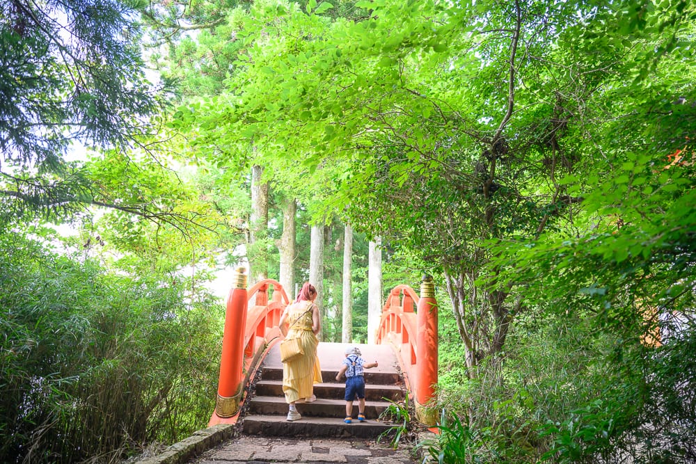 日本箱根-箱根神社｜綠樹、紅橋、階梯、女子、幼童。一名身穿黃洋裝的女子與一名幼童正在走上紅色拱橋的石階，四周被濃密的高大樹木與枝葉包圍。