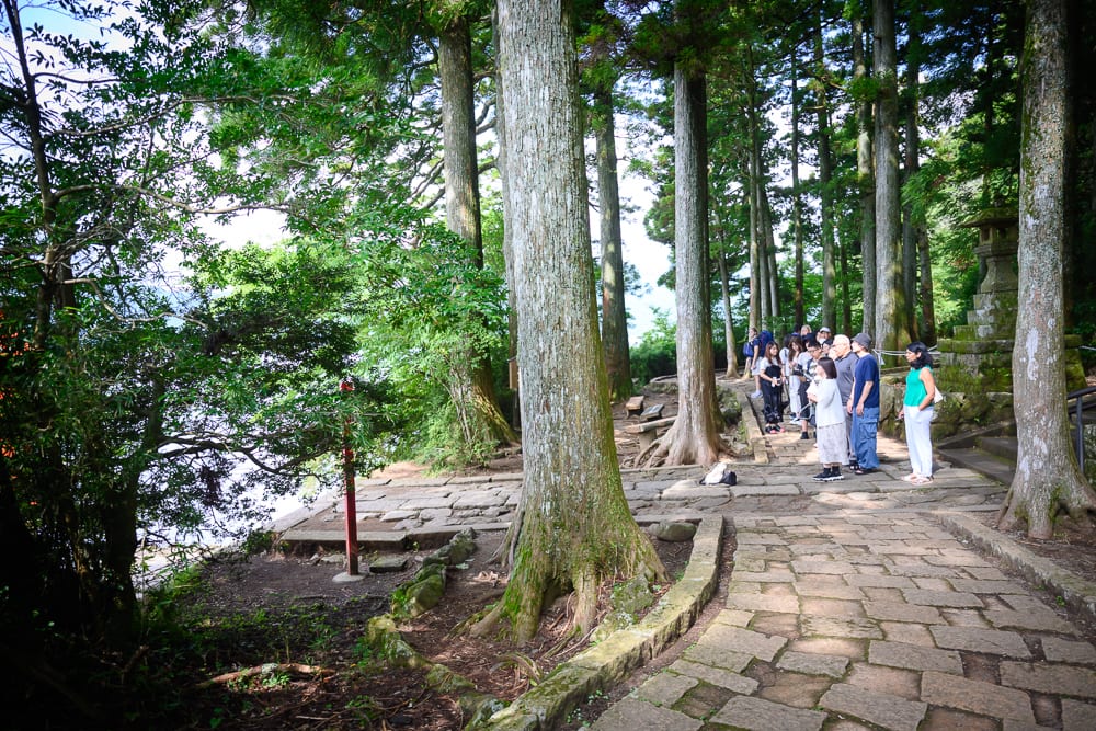 日本箱根-箱根神社｜高大杉木林、石板步道、人群、湖泊、林間小徑。遊客站在樹林邊緣眺望水景，筆直樹幹與枝葉填滿畫面，石塊鋪成的路面往遠處延伸。