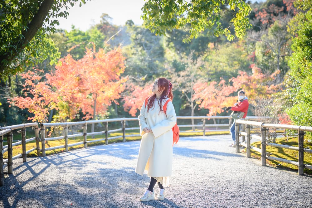 日本京都金閣寺完整指南|池畔倒影與庭園步道 8 日本京都金閣寺|女子、白色長大衣、碎石步道、竹籬笆、紅葉樹林、遠方行人。女子站在庭園石子路上仰頭,兩側設有矮木柵欄,背景為橘紅與綠相間的樹木,頂端有綠葉遮蔽。