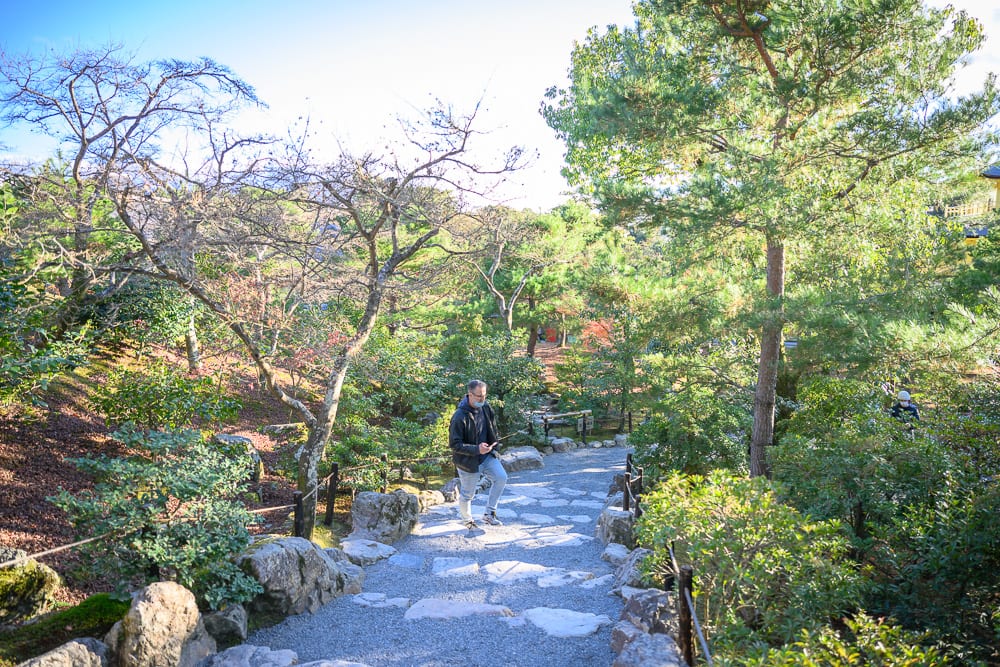 日本京都金閣寺完整指南|池畔倒影與庭園步道 9 日本京都金閣寺|戶外、庭園、階梯、樹木、男子,男子身穿深色外套與淺色褲子,站在鋪石階梯中央。兩側為高低错落的松樹與灌木林,地面覆蓋落葉,遠處可見綠樹與藍天。