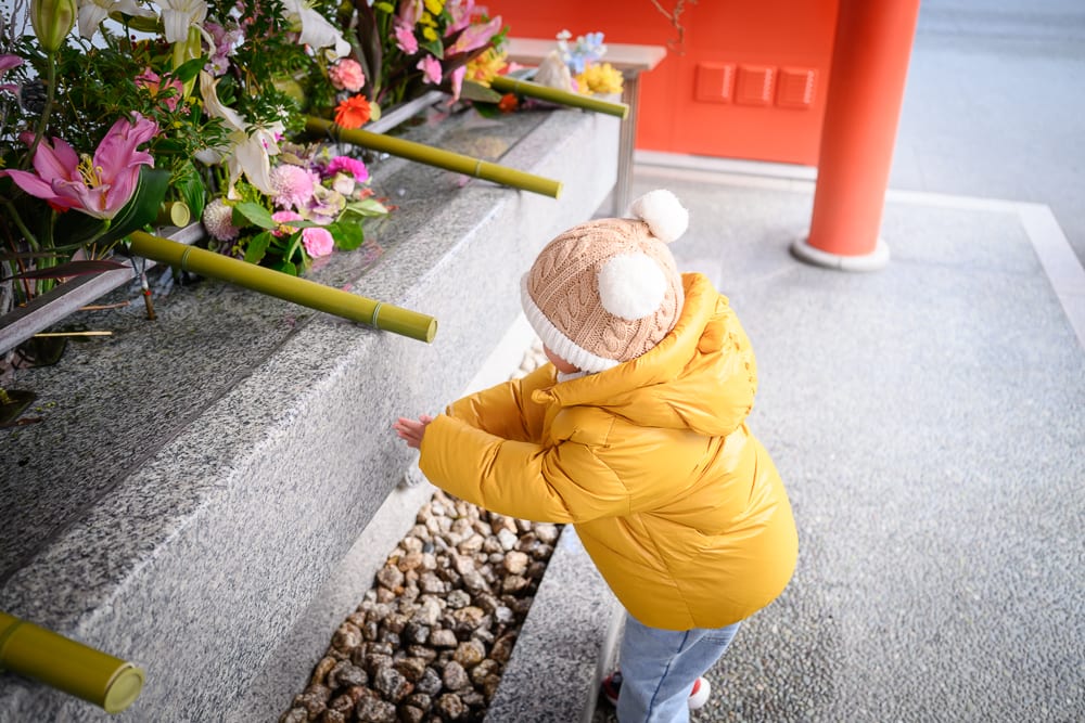 日本神戶-生田神社｜幼童、花手水、寺廟、石槽、竹管、羽绒外套，孩童戴著毛帽站在鋪滿碎石的寺廟石槽前，面向擺滿粉白花卉的漂浮花水盆，雙手合十。