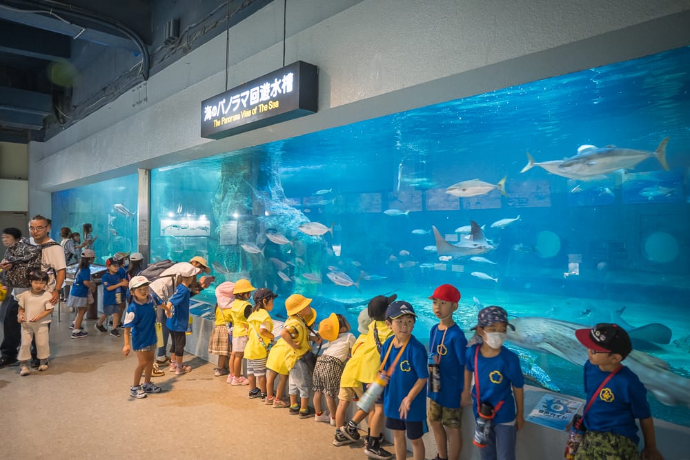 日本小樽-小樽水族館｜室內、水族館、大型水槽、魚、孩童、成人、招牌，藍色水體映照著前方穿著藍衣與黃帽的孩童群，魚類在玻璃後方游動，牆面懸掛日文指示牌。