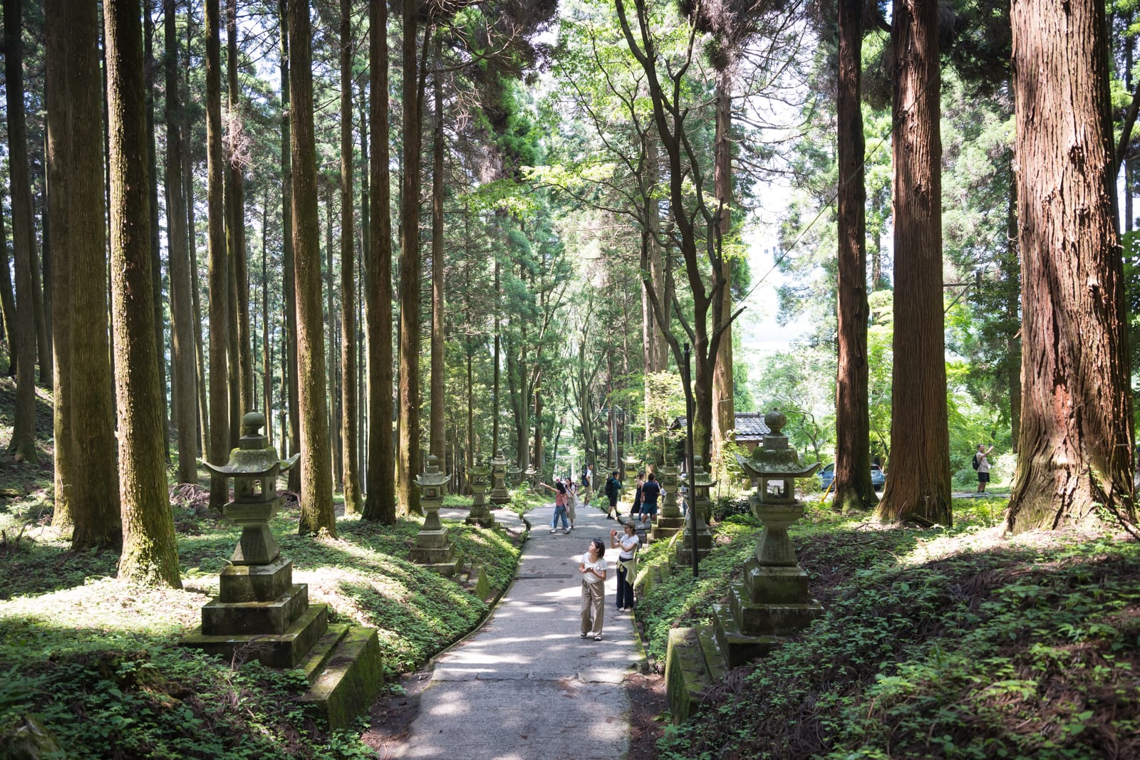 日本熊本-上色見熊野座神社｜高聳林木、石燈籠、步道、人群，樹林間鋪設平整小徑，兩側並列數座古樸石燈籠，多名遊客散步其間。