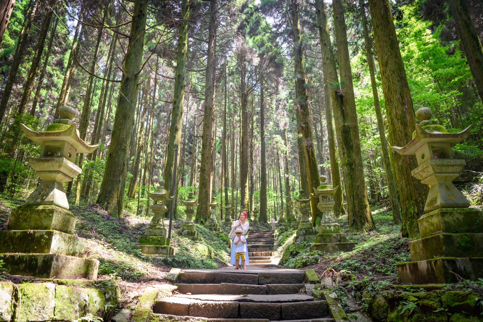 日本熊本-上色見熊野座神社｜高聳樹林、石階、石燈籠、人、苔蘚。一對母子站在林間石階中央，兩側排列著覆苔的石燈籠，筆直參天的樹木直立向上延伸，地面鋪滿落葉與綠苔。