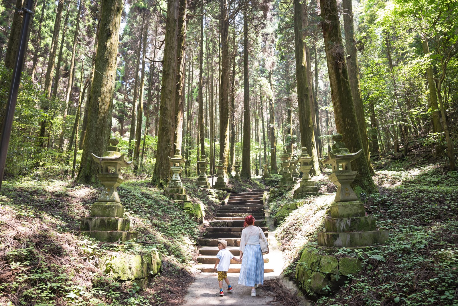 日本熊本-上色見熊野座神社｜高聳林木、石階、石燈籠、人、苔蘚，兩人牽手走在樹林間的石階步道，兩側立著苔痕斑駁的石燈籠，筆直的杉木向上延伸至樹冠層。