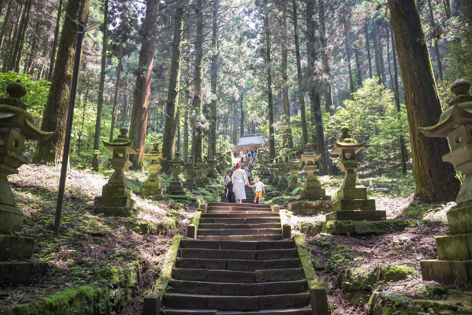 日本熊本-上色見熊野座神社｜石階、森林、石燈籠、遊客、神社。高聳杉樹林中，中央筆直石階向上延伸，兩側排列多座斑駁石燈籠，數名行人正拾級而上，遠處可見神社建築。