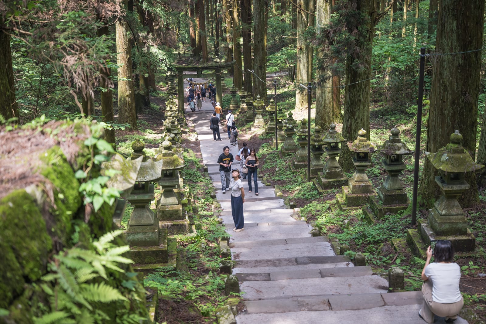 日本熊本-上色見熊野座神社｜石階、神社、燈籠、森林、遊客，高聳的杉木夾道，斑駁石燈籠排列在階梯兩側，遊客沿著向上的石階行走，遠處可見鳥居與聚集的人群。