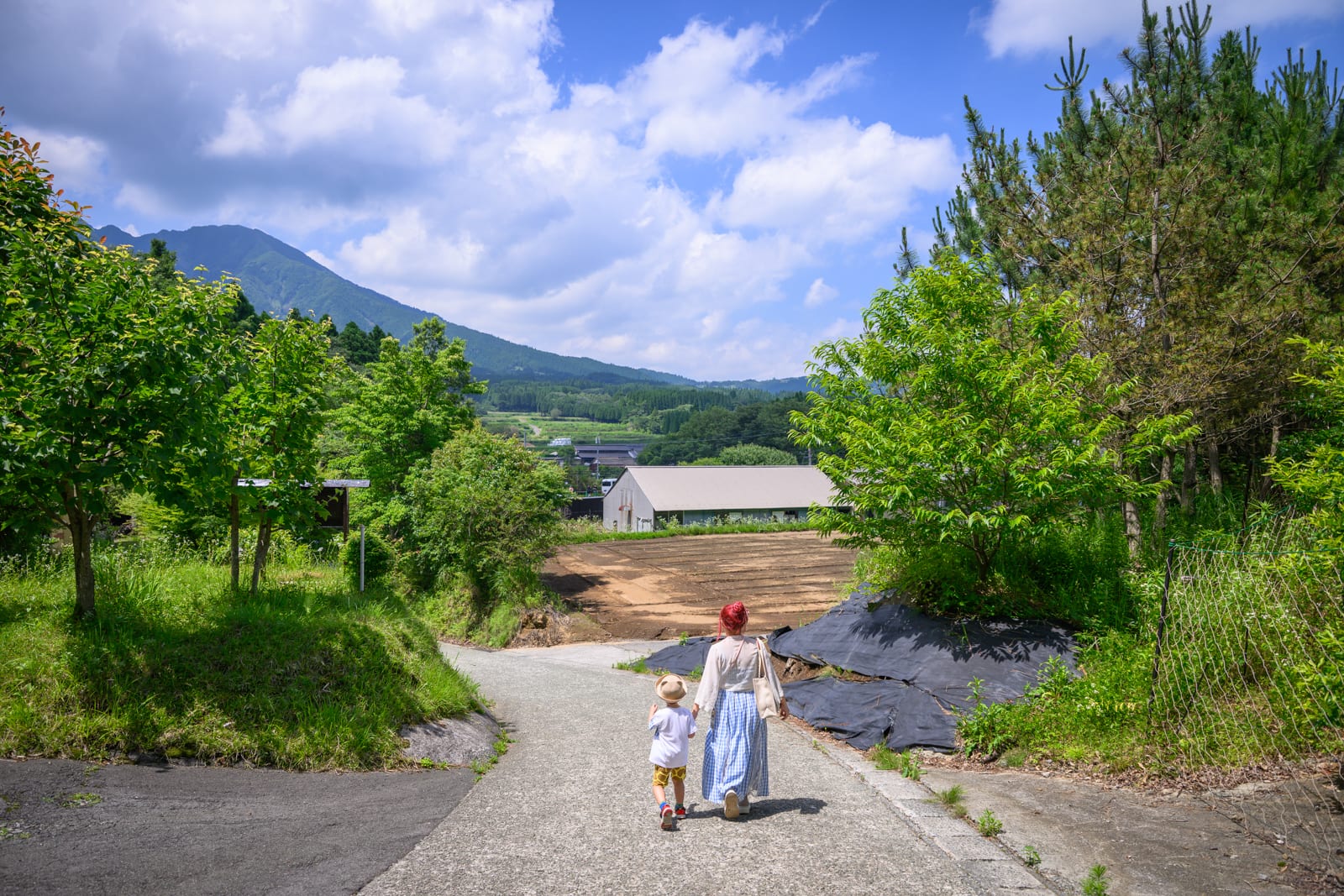 日本熊本-上色見熊野座神社｜成人與小孩牽手走在鄉村水泥路上，道路、農田、山脈、樹木、藍天白雲。前方視野開闊，遠處有低矮房舍與山巒起伏。
