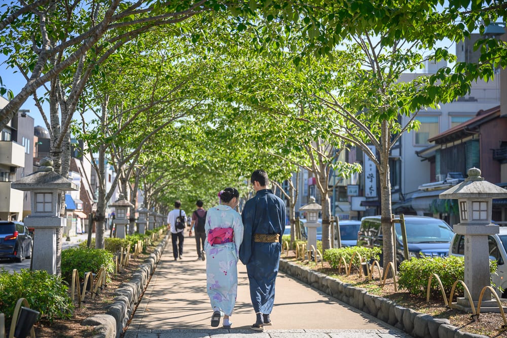 日本鶴岡八幡宮完整指南|參道散步、石階與周邊街區 11 日本鎌倉-八幡宮|街道、人行道、石燈籠、穿著浴衣的男女、綠樹、車輛。一對穿著藍色調浴衣的男女背對鏡頭,漫步在兩側林立石燈籠與茂密綠樹的人行道上,前方有行人步行,兩旁停放汽車與矮房。