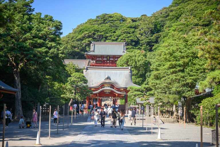 日本鶴岡八幡宮完整指南|參道散步、石階與周邊街區 15 日本鎌倉-八幡宮|階梯,行人,神殿,建築,綠樹,藍天。 群山環抱的傳統朱紅色神殿建築群,灰白石板路與木造柱子排列延伸,眾多遊客穿梭於庭院與石階間,背景為密集的綠色林木。