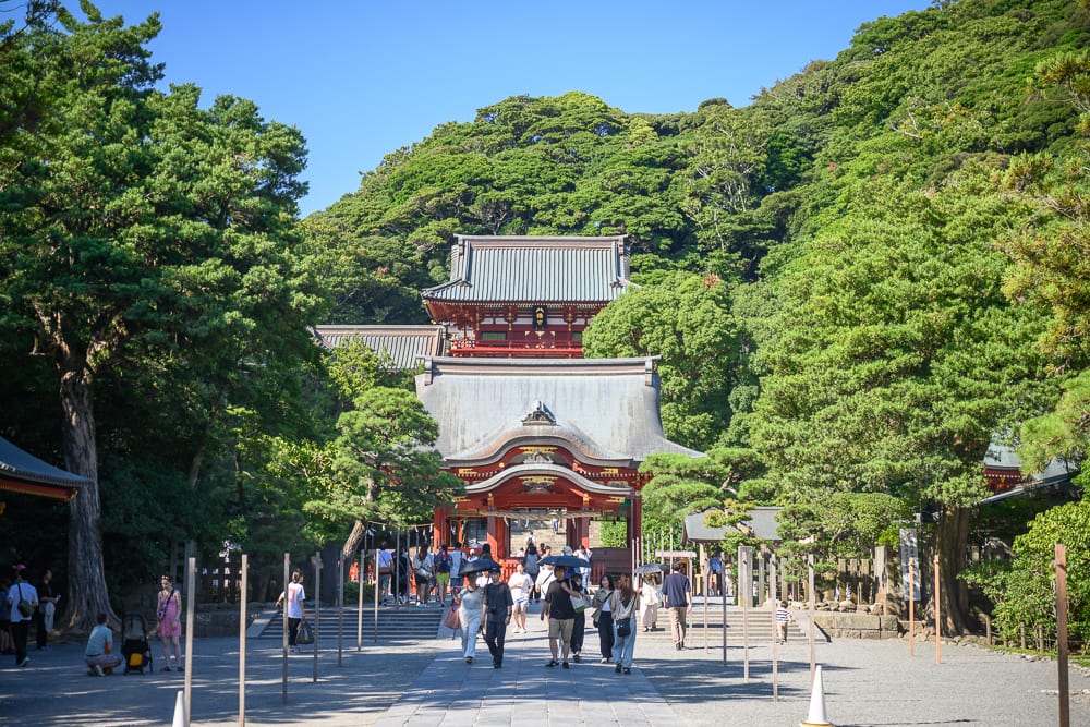 日本鶴岡八幡宮完整指南|參道散步、石階與周邊街區 4 日本鎌倉-八幡宮|寺廟、紅柱建築、石階、遊客、綠樹、山坡,晴朗藍天下的日式神社境內,兩側矗立高大松樹與木造柱列,人群沿著碎石路面與石階移動。
