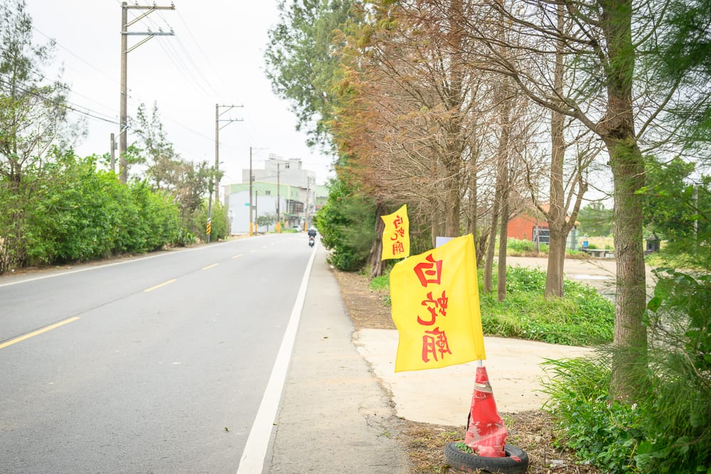 桃園白蛇廟｜街道, 柏油路, 黃色旗幟, 紅色三角錐, 樹木, 電線桿, 遠方建築。陰天光線下，雙線道馬路旁立著黃色寫字旗幟與三角錐，路側種植綠樹與落羽松。