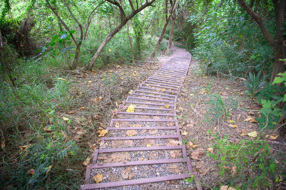 高雄漯底山步道｜林間小徑，階梯，樹木，枯葉，泥土，雜草，蔓藤，彎曲步道，綠色植物。一條金屬格柵組成的長階梯向上延伸，散落著枯黃落葉，兩側被茂密的樹林與雜草包圍。