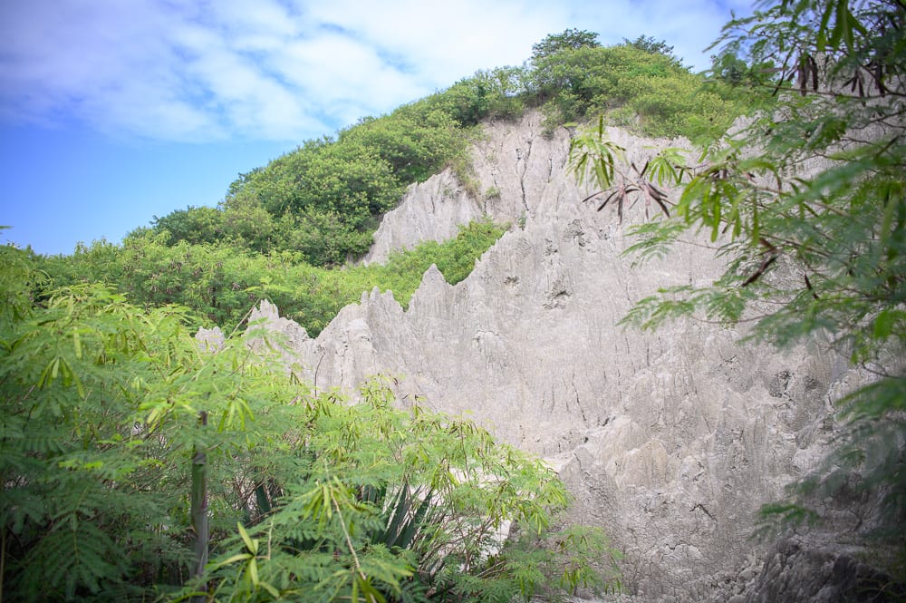 高雄漯底山步道｜惡地、山丘、綠樹、灌木、藍天，灰白色泥岩山壁裸露，山頂覆蓋綠色植被，前景有茂密枝葉與綠草，山脊線條尖銳起伏。