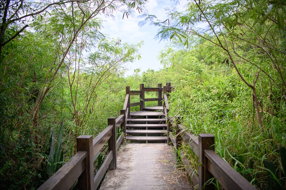 高雄漯底山步道｜木棧道、階梯、樹林、草叢、樹木、天空，深色木造步道延伸至前方轉折處，兩側佈滿茂密綠色植被，枝葉向上伸展，上方露出微光天空。