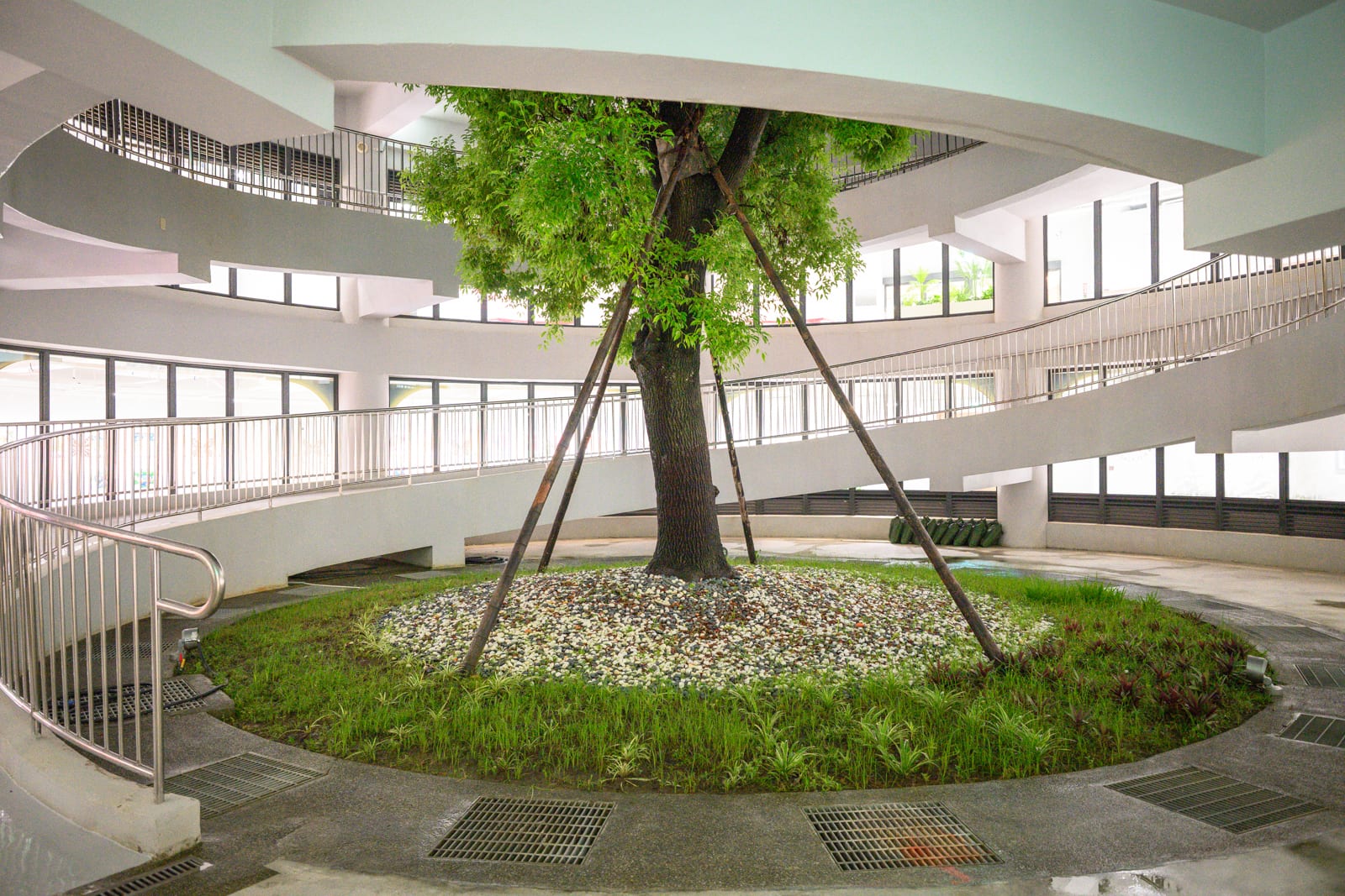 屏東恆春出火地質公園完整指南|天然氣火焰與夜間賞火玩法 4 屏東恆春出火地質公園|室內,大樹,草地,圓形中庭,無障礙坡道,金屬欄杆,落地窗。白色弧形結構天井環繞著中央植栽,枝幹以木棍支撐,地面鋪設卵石與草皮,環形通道設有扶手斜坡。