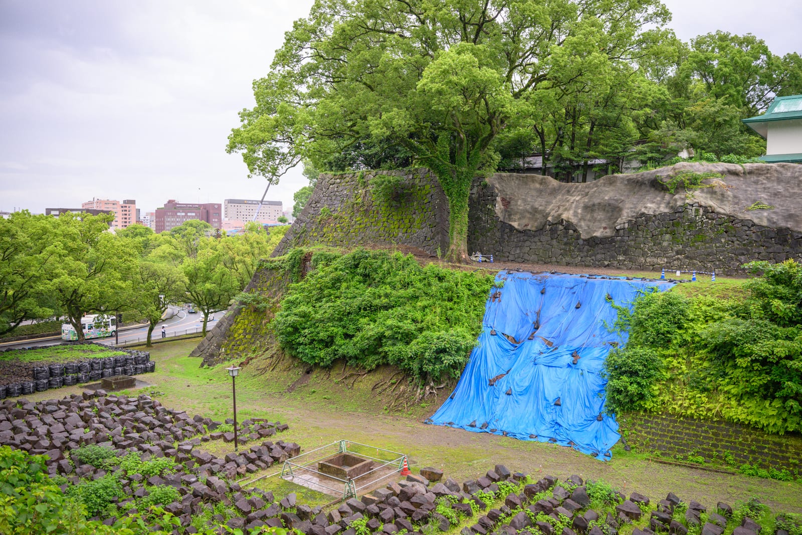 日本熊本-加藤神社｜石牆，城堡，綠樹，藍色帆布，草皮，道路，建築，陰天光線。石牆邊緣覆蓋茂密綠樹與草皮，部分斜坡鋪上藍色防雨帆布，下方草地上整齊排列黑色石塊，遠方可見城市建築。