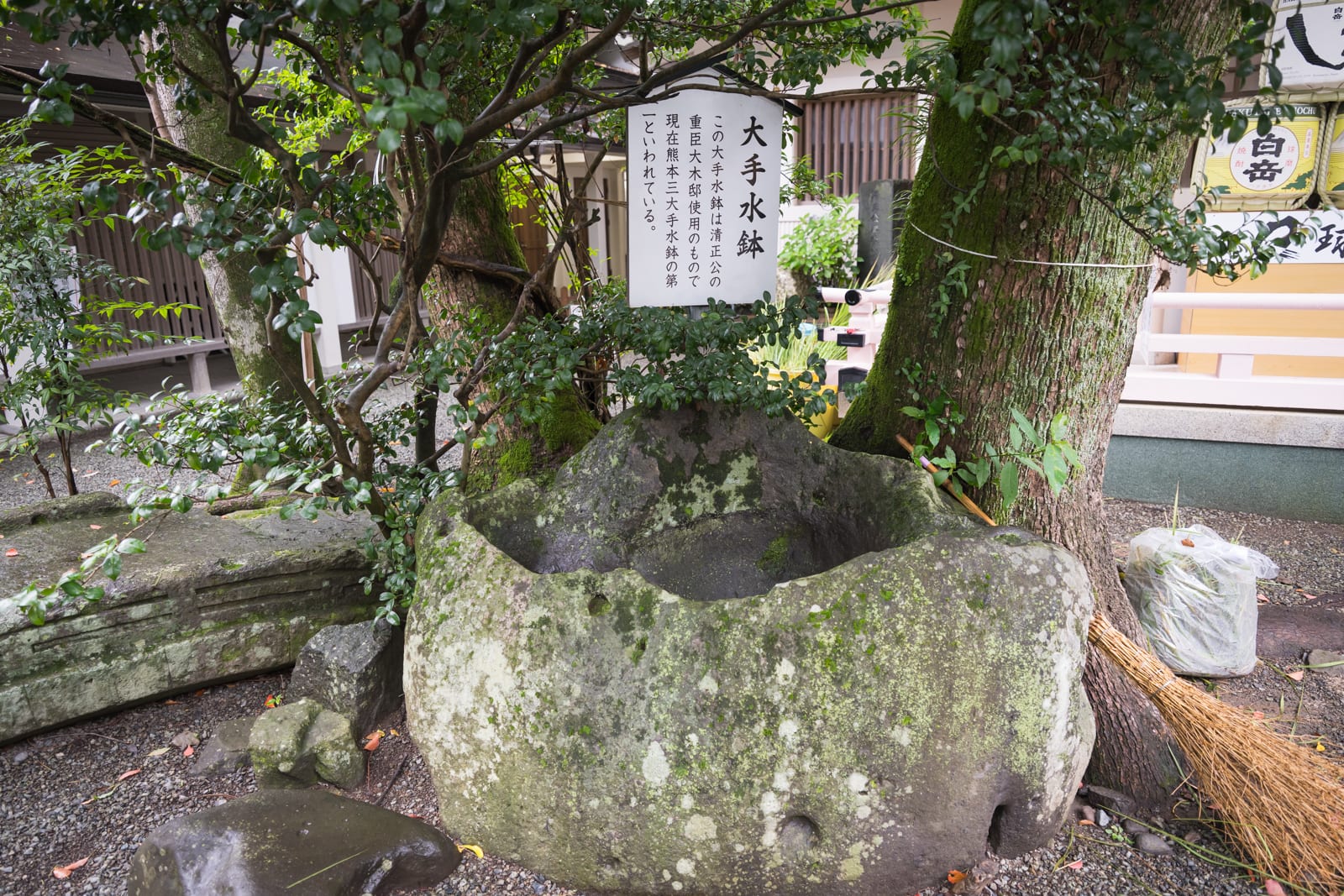 日本熊本-加藤神社｜寺廟，樹木，石盆，解說牌，掃帚，石子地。斑駁苔蘚覆蓋巨大的粗糙石槽，後方立著白色日文解說看板，兩側巨木枝葉垂拂，地面鋪滿細碎砂石。