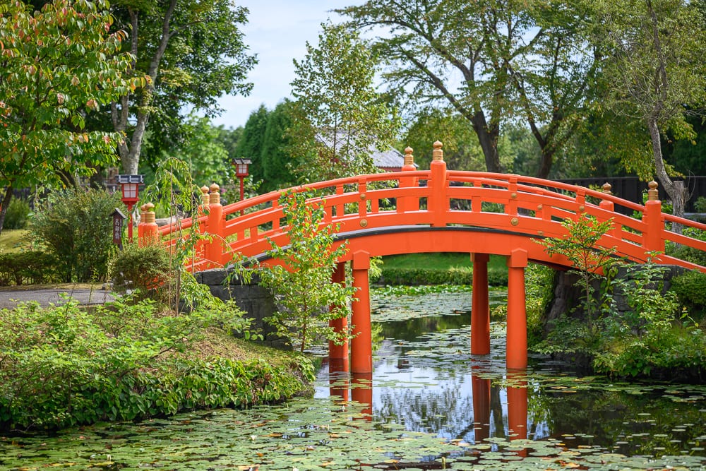日本登別伊達時代村完整指南|江戶街景與庭園展示 4 日本登別-依達時代村|橋、水池、蓮葉、樹木、燈籠。紅色的拱形木橋橫跨於水面上,橋面下方有支撐柱。水面漂浮著綠色蓮葉,倒映出紅橋與天空。岸邊生長著密集的灌木與高大綠樹,遠處有幾座紅頂建築與黑色燈籠。