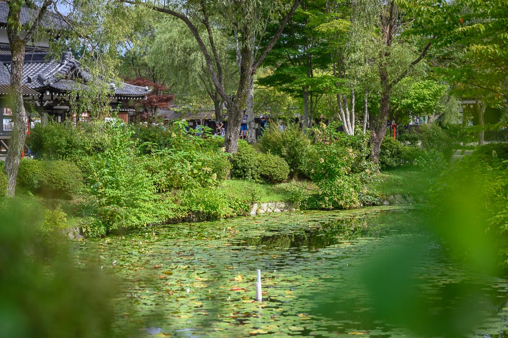 日本登別伊達時代村完整指南|江戶街景與庭園展示 13 日本登別-依達時代村|寺廟、水池、蓮葉、樹木、草叢,日式傳統建築與庭園水景,池面浮滿圓形綠葉,岸邊林木茂密夾道,建築黑瓦屋頂外露,背景可見遊客走動。