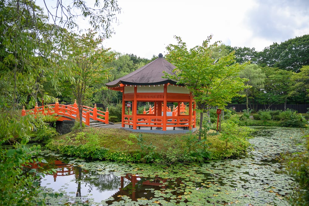 日本登別伊達時代村完整指南|江戶街景與庭園展示 10 日本登別-依達時代村|涼亭、池塘、橋、樹木、蓮葉,水面覆滿綠葉的池塘中有一座草i坪小島,島上立著一座橘紅色中式涼亭,左側有紅色木橋連接陸地,四周環繞著茂密樹林。
