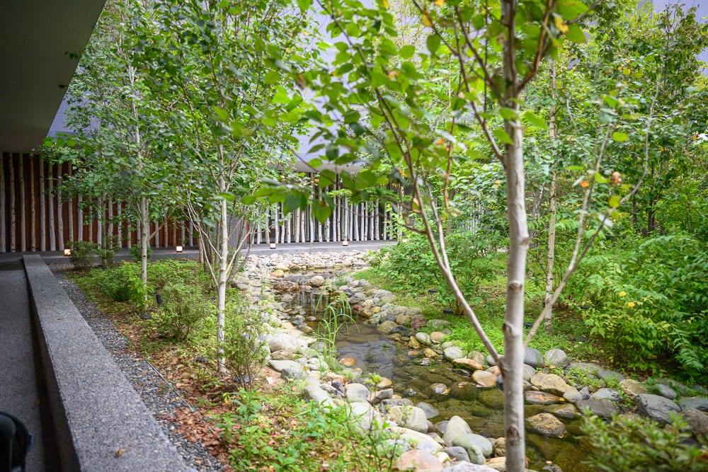 日本白老星野界波羅多｜庭園，小溪，石塊，樹木，白樺樹幹牆面，建築走廊。狹長的水道鋪滿卵石，貫穿茂密綠意與細長樹幹。混凝土走廊緊鄰戶外植栽，遠方排列垂直木柱。
