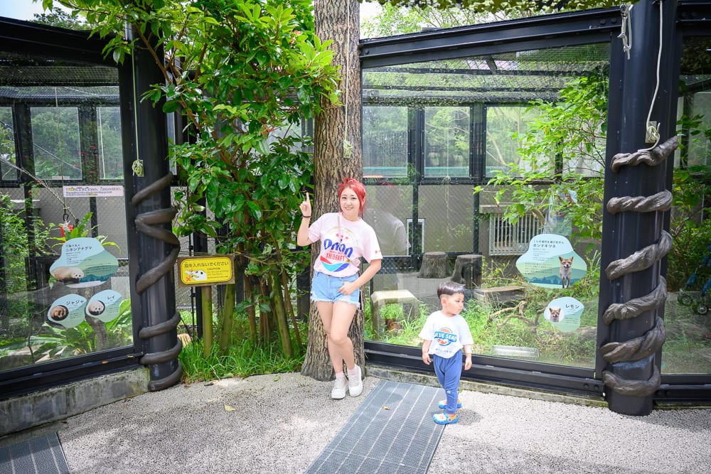 日本沖繩沖繩兒童王國｜動物園、玻璃圍欄、樹木、綠葉、女子、小孩、水泥地、告示牌，女子倚靠樹幹站立，小孩站在一旁，兩側有黑色