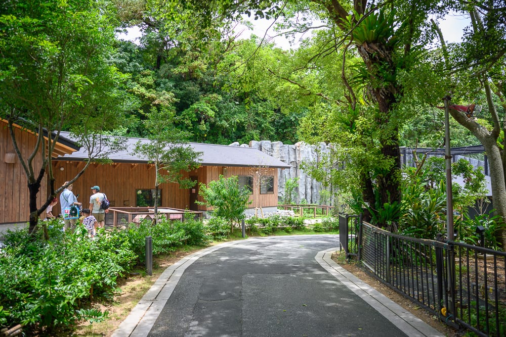 日本沖繩沖繩兒童王國｜瀝青步道，木造平房，綠樹，欄杆，遊客。灰色柏油路彎曲延伸，兩側綠蔭茂密。左側為木板外牆建築，數名行人